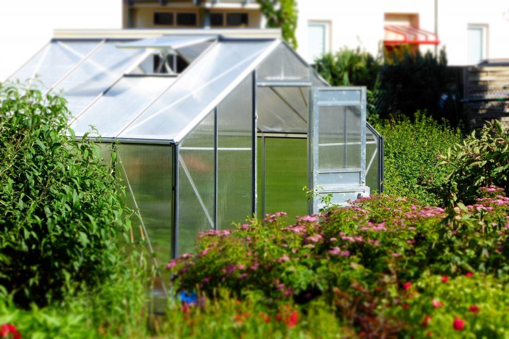 Serre en verre ou en polycarbonate, quel matériau choisir